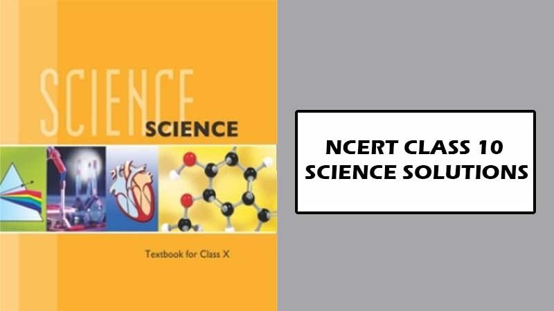 NCERT Class 10 Science Solutions