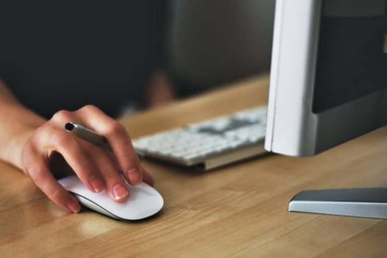 Safely Share Your Documents Using PDF Bear