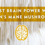 Which Superfood Mushrooms Boost Brain Health?