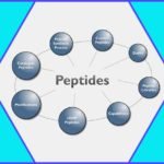 WHAT ARE THE SIDE EFFECTS OF PEPTIDES