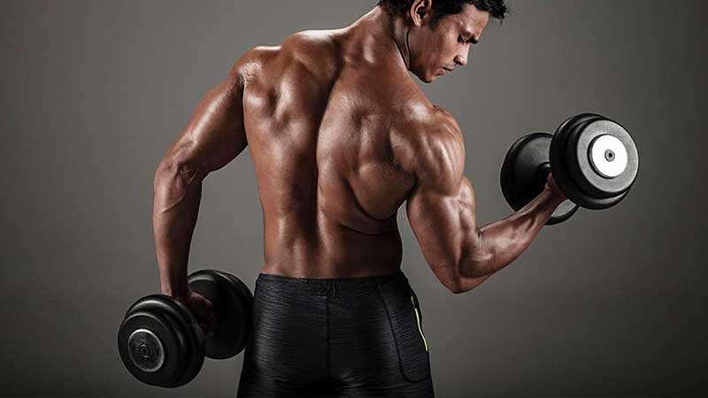 Where To Find Dumbbells in Stock - 2021