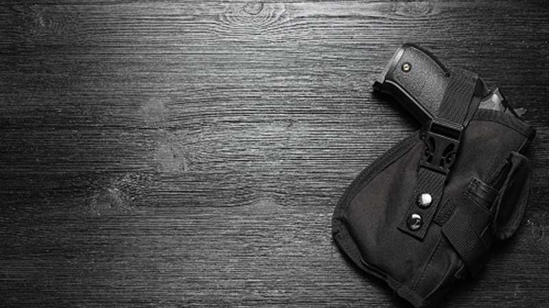 Gun Holster