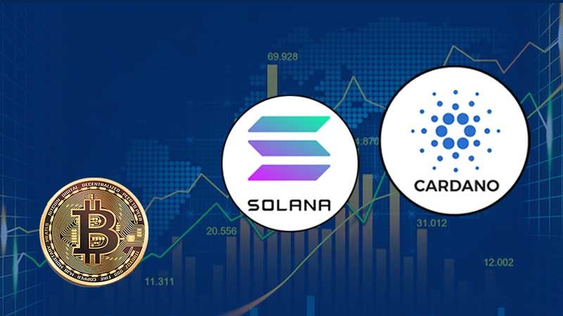 Bitcoin Decline But Solana And Cardano Are Continuing To Rise