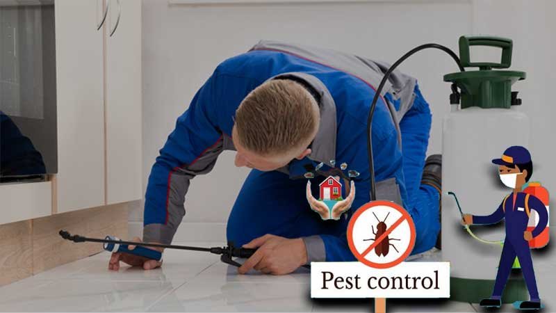 Select a Pest Control Service