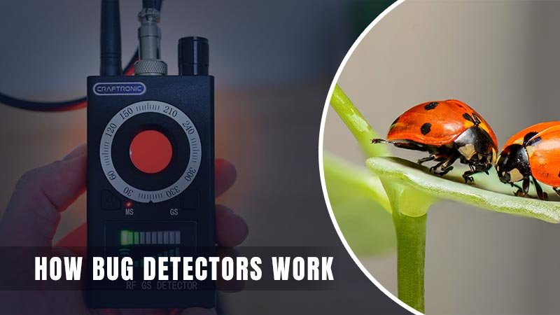 bug detectors