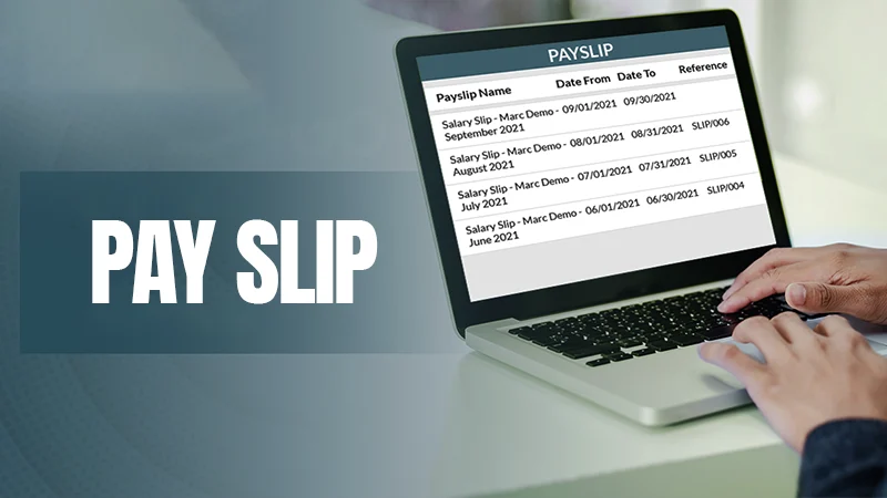 pay slip