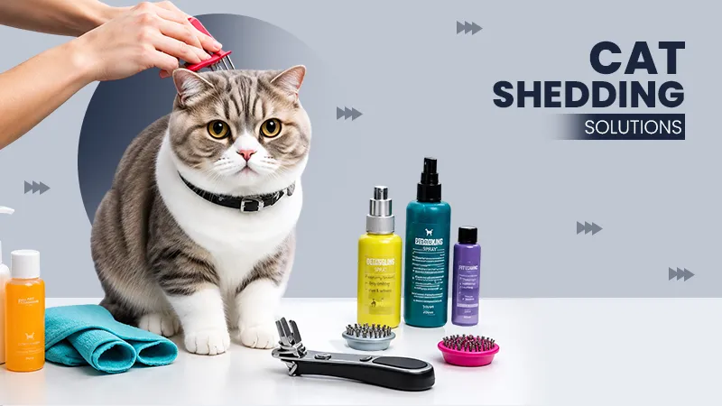 understanding cat shedding solutions